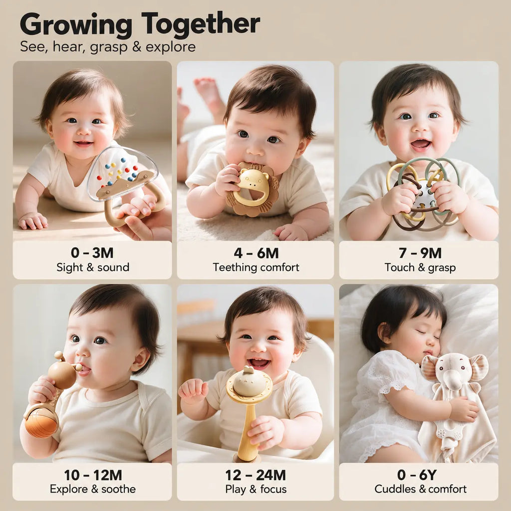 Baby Rattle Teether Gift Set (24-Piece)